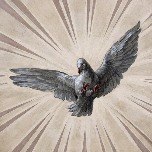 Holy Spirit Dove