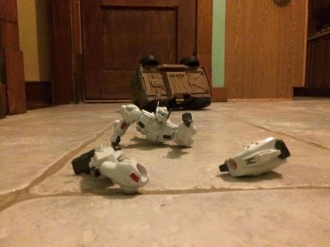 12311068_10153112071987085_8312088947546396652_n