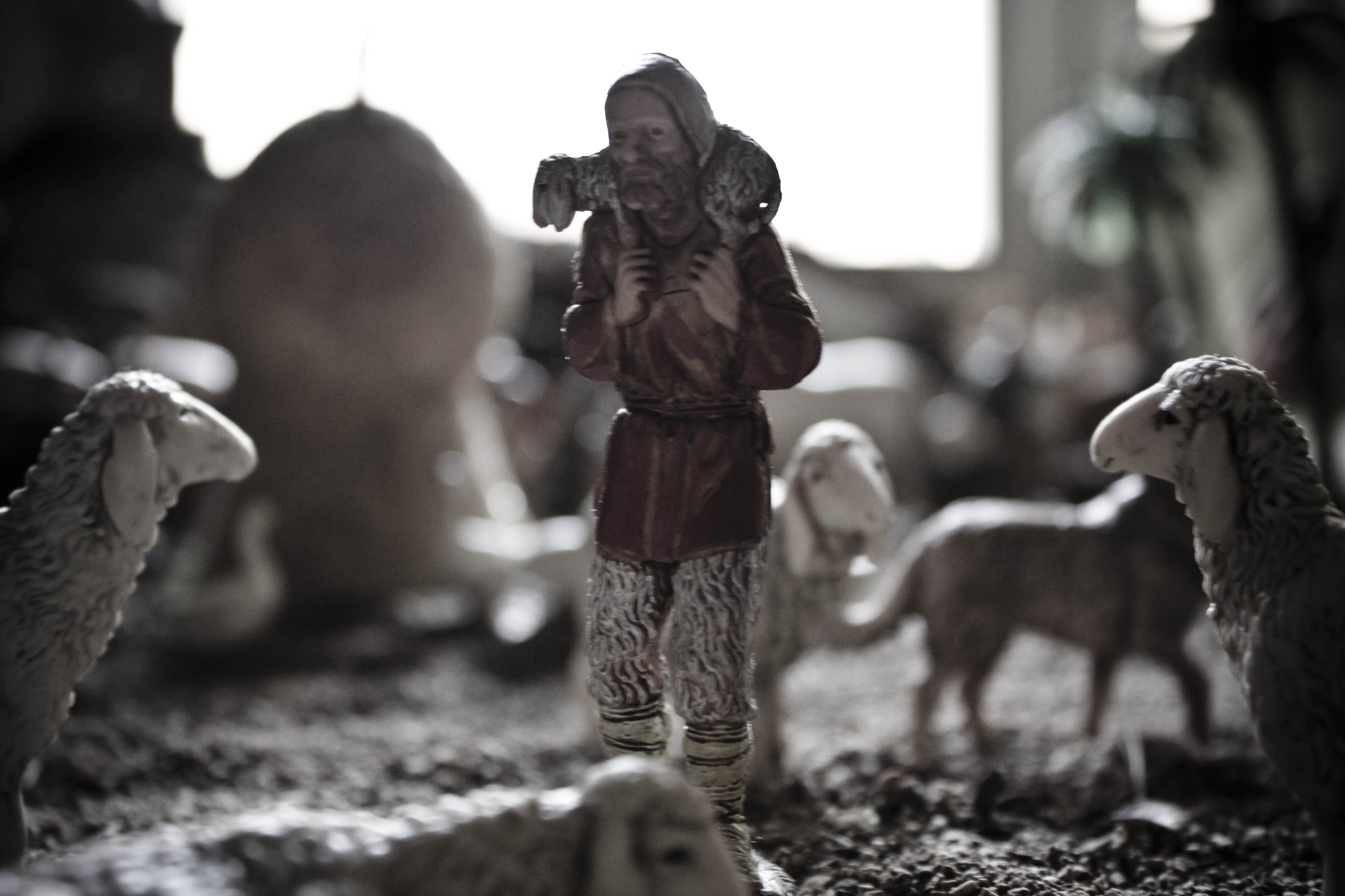 3170653223_5b38e8dde7_o