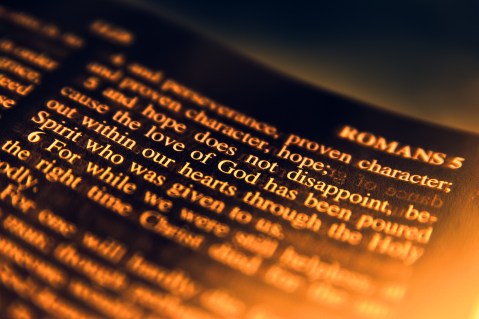 Hope Does Not Disappoint